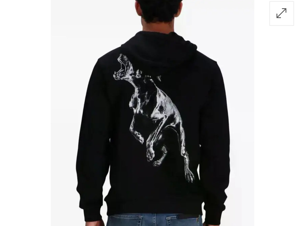 Hugo Boss pullover hoodie