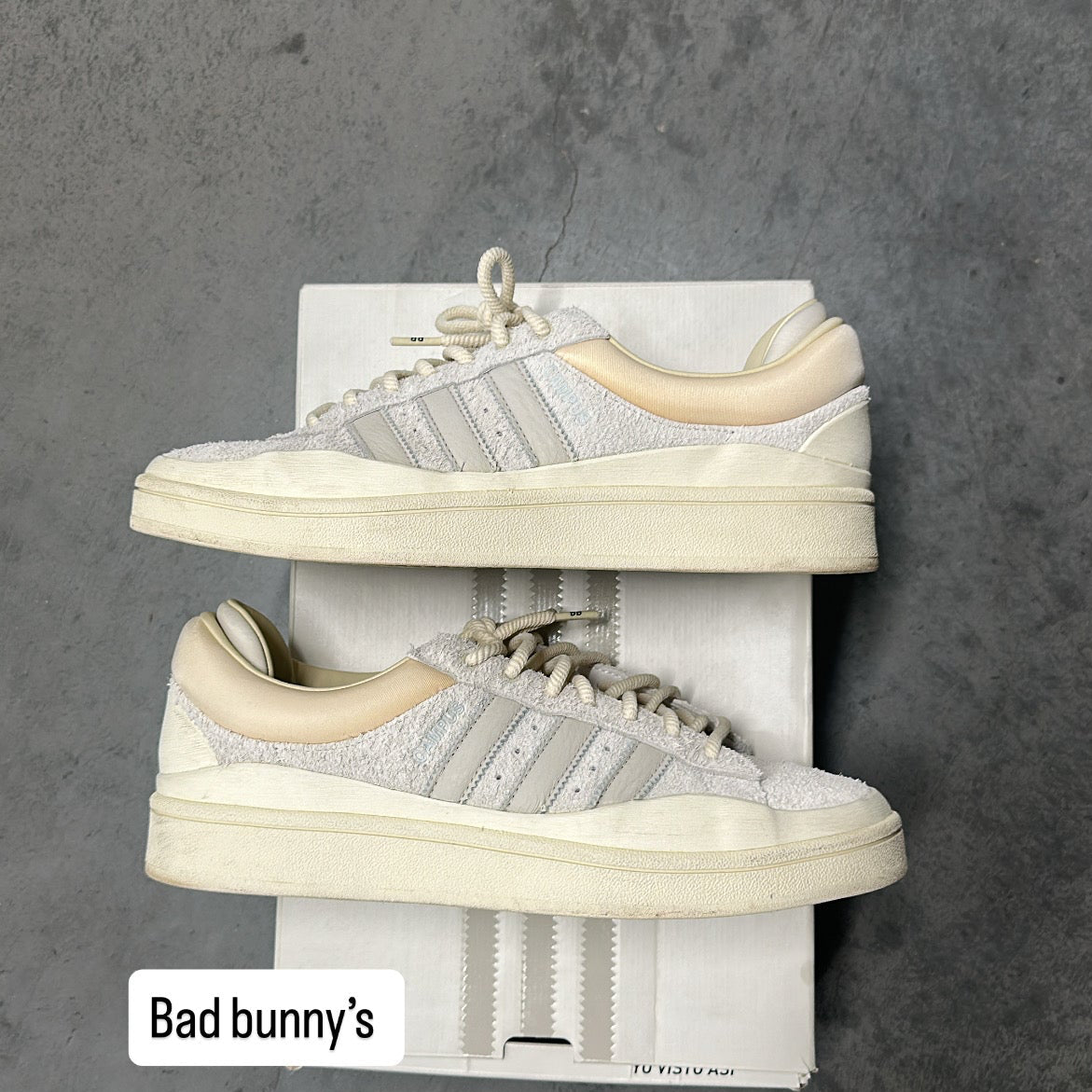 Adidas x Bad Bunny “Campus light”