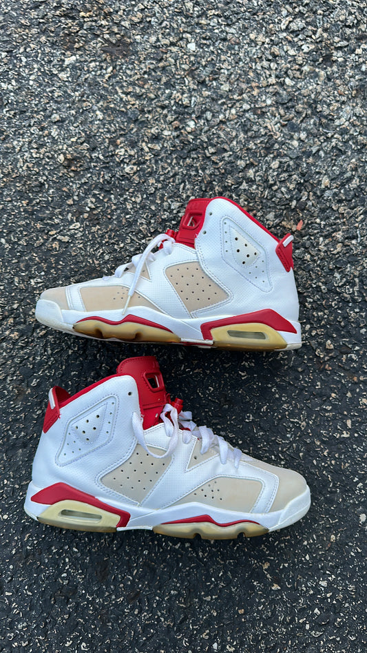 Jordan 6 “Alternate Hare” (GS)